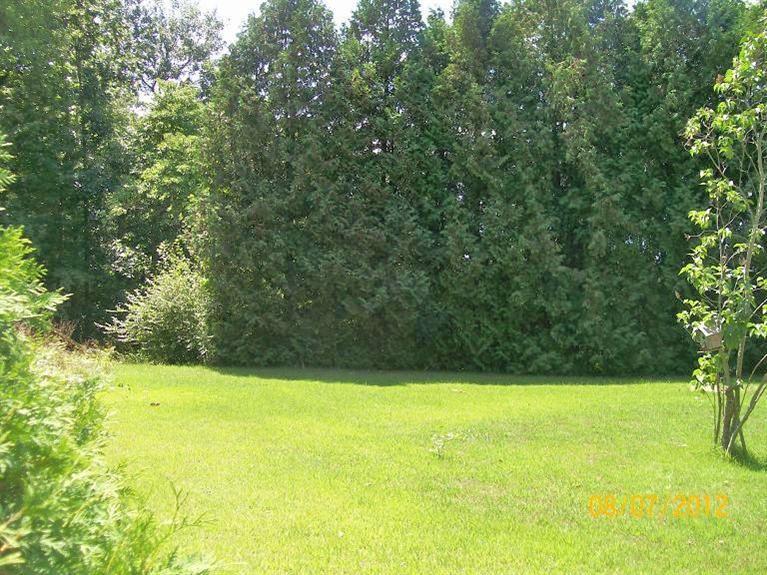 6903 Brooks Road Fruitport, MI 49415 - Photo 9 of 21 Additional Photo