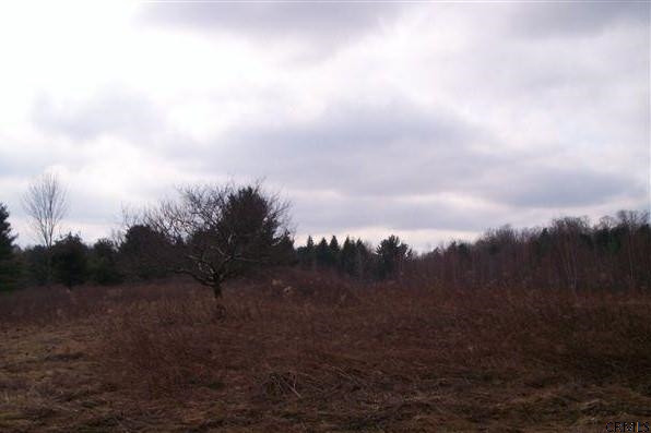 0 West Old State Road Guilderland, NY 12306 - Photo 1 of 1 Photo 1