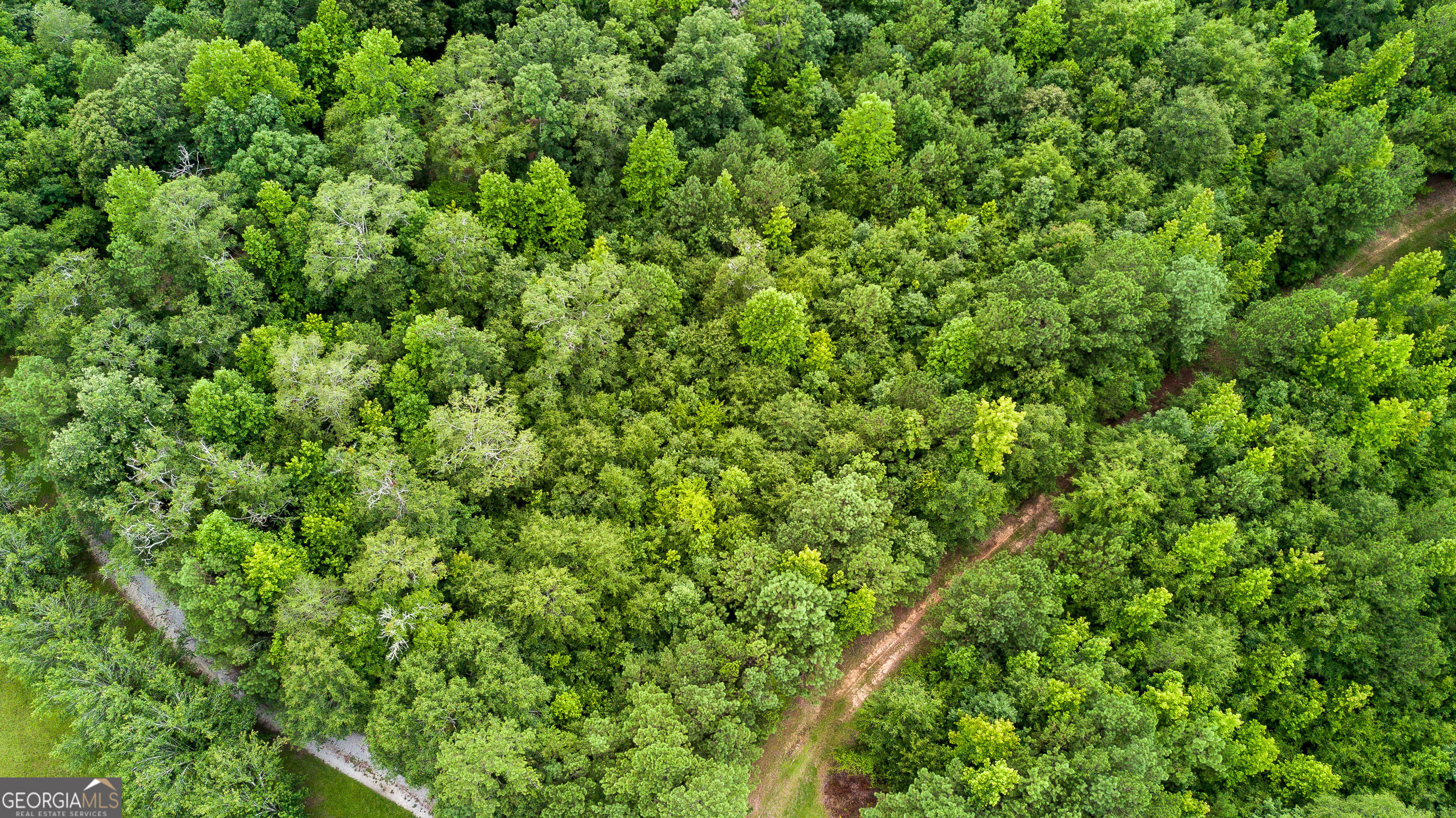0 Butts Mill Road Pine Mountain, GA 31822 - Photo 2 of 4 a view of a lush green forest with a tree