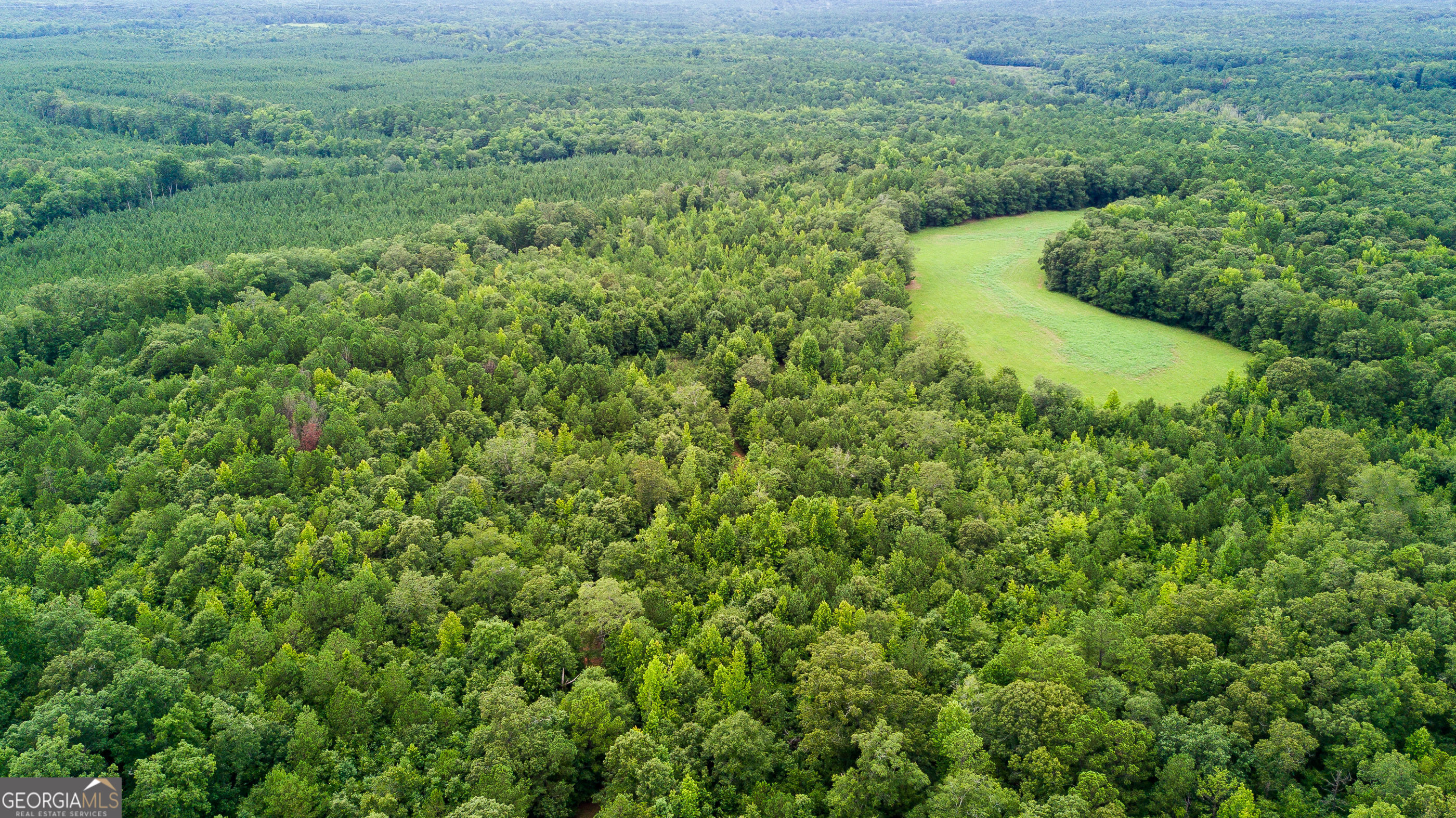 0 Butts Mill Road Pine Mountain, GA 31822 - Photo 3 of 4 a view of a lush green forest with lots of trees