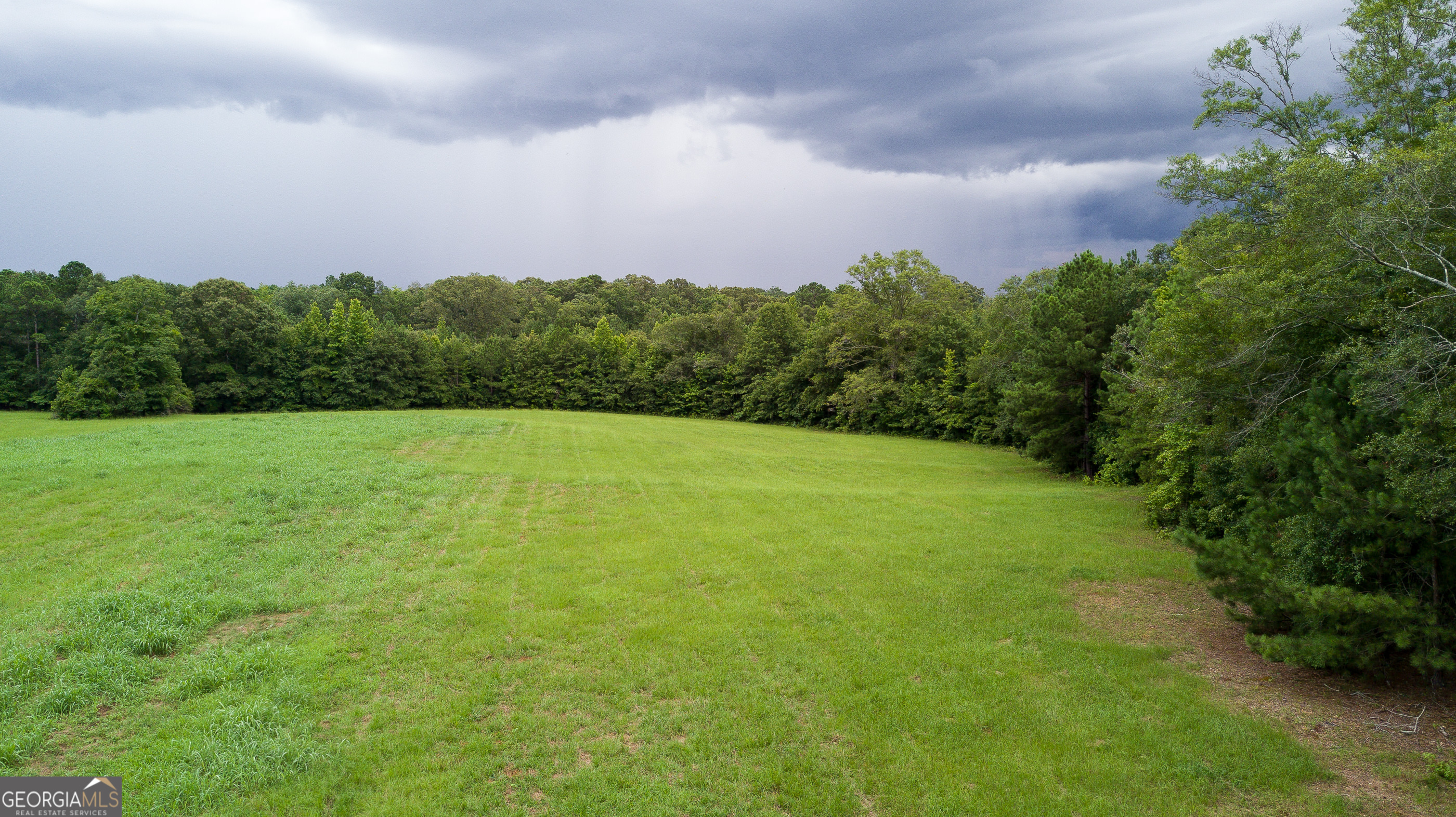 0 Butts Mill Road Pine Mountain, GA 31822 - Photo 4 of 4 a backyard of a house with lots of green space