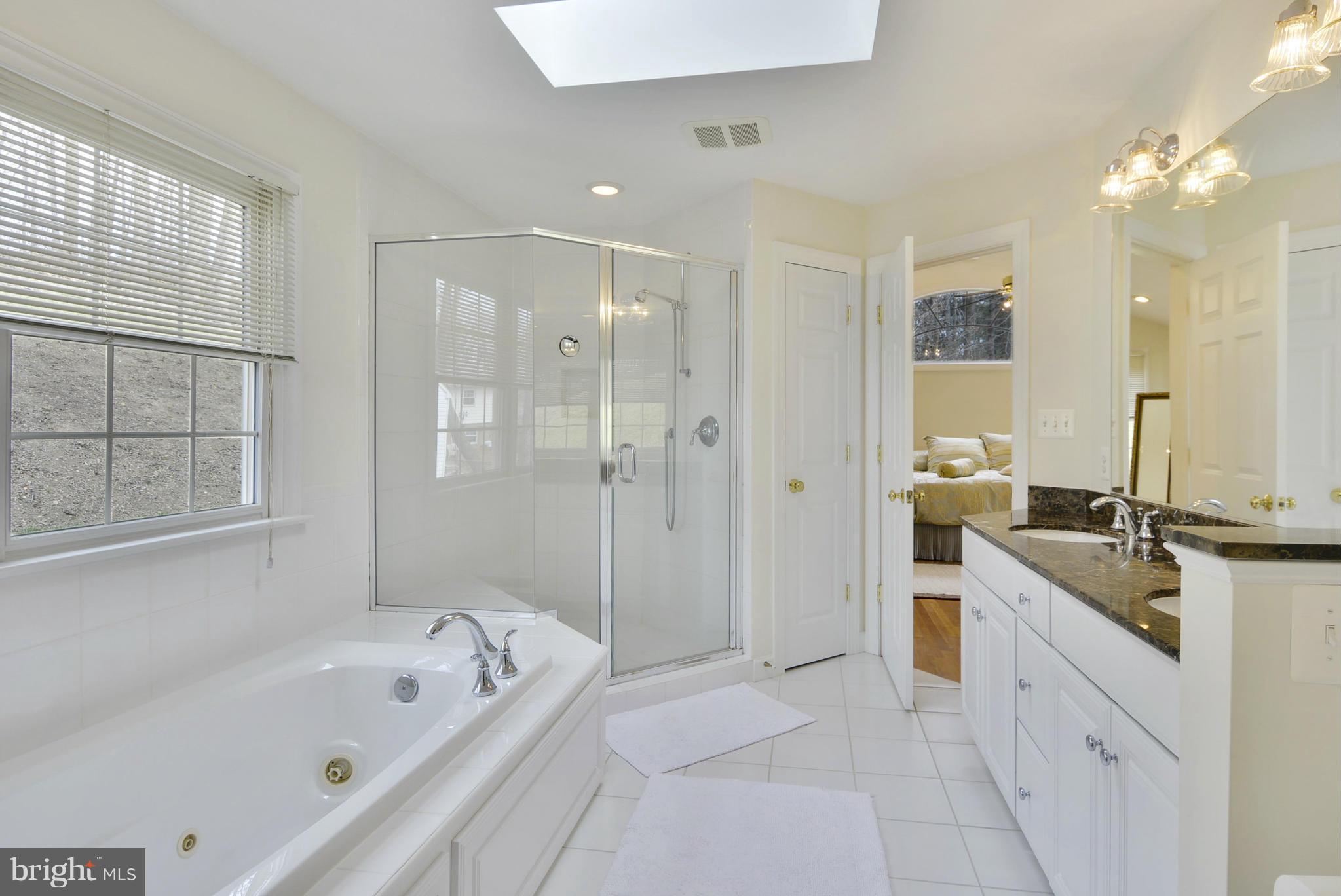 6432 Rives Court Springfield, VA 22150 - Photo 15 of 27 Bath (Master)