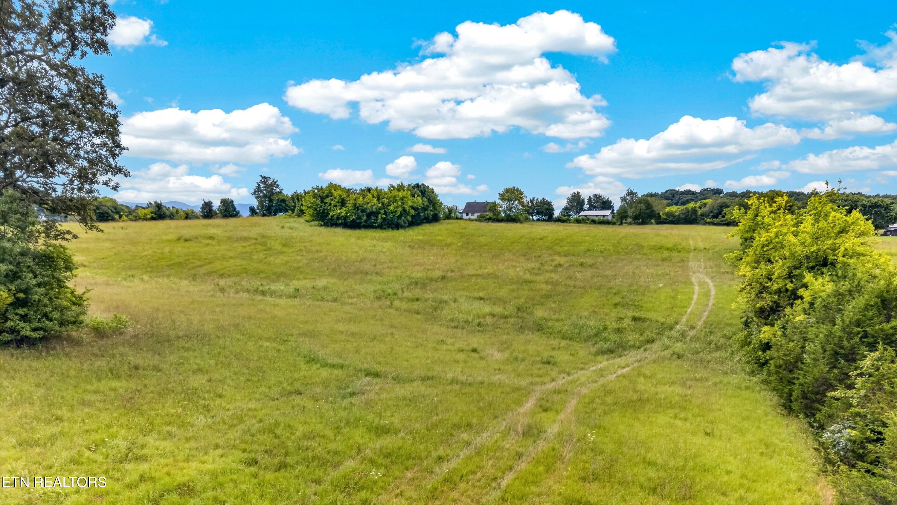 3 Wells Spring Road Dandridge, TN 37725 - Photo 2 of 18 006-452WellsSpringRoad-Dandridge-TN-3772