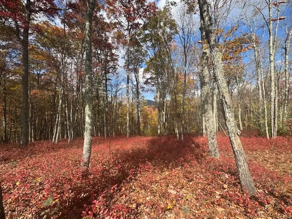 $165,000 | 0 Blazing Star Drive, Glenville, NC 28736