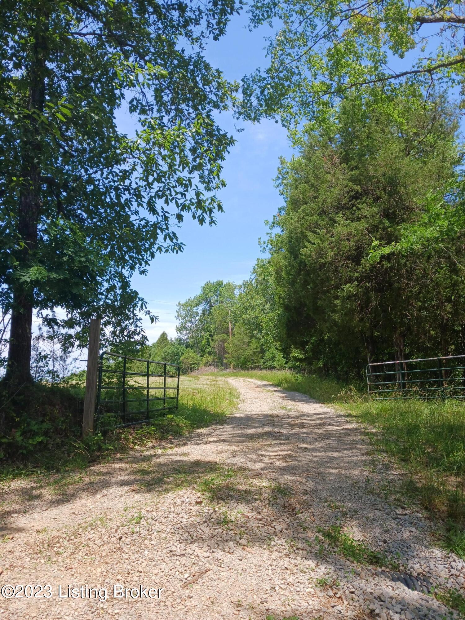 8 Fox Cliff Road Leitchfield, KY 42754 - Photo 3 of 6 rough river lot gate