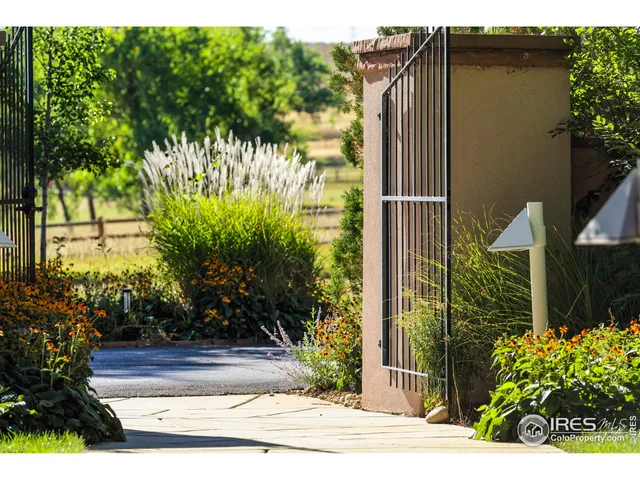 a view of a potted plant in front of a house
