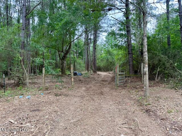 Mt Herman Road Osyka, MS 39657 - Photo 4 of 53 IMG_5391