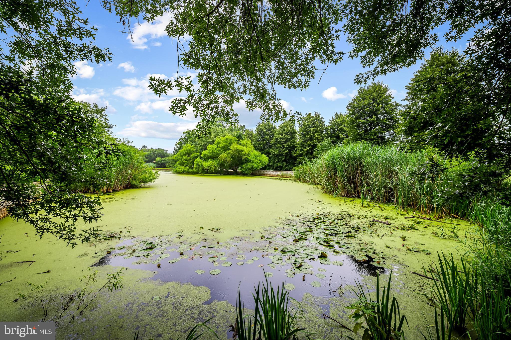 2529 Eastern Avenue Baltimore, MD 21224 - Photo 41 of 50 a view of a lake with a yard