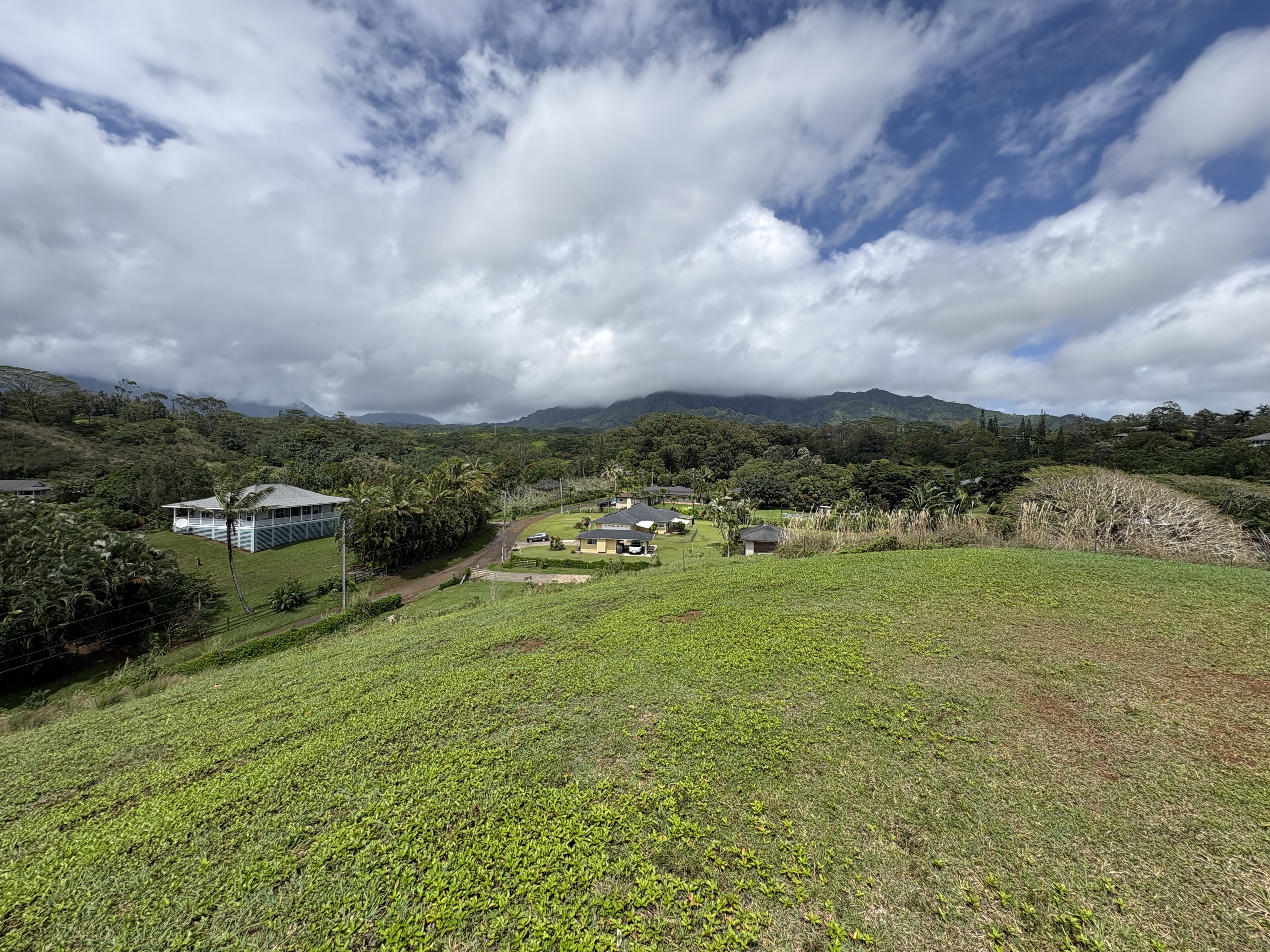 6630 Kipapa Road Kapaa, HI 96746 - Photo 13 of 20 a view of a garden and lake