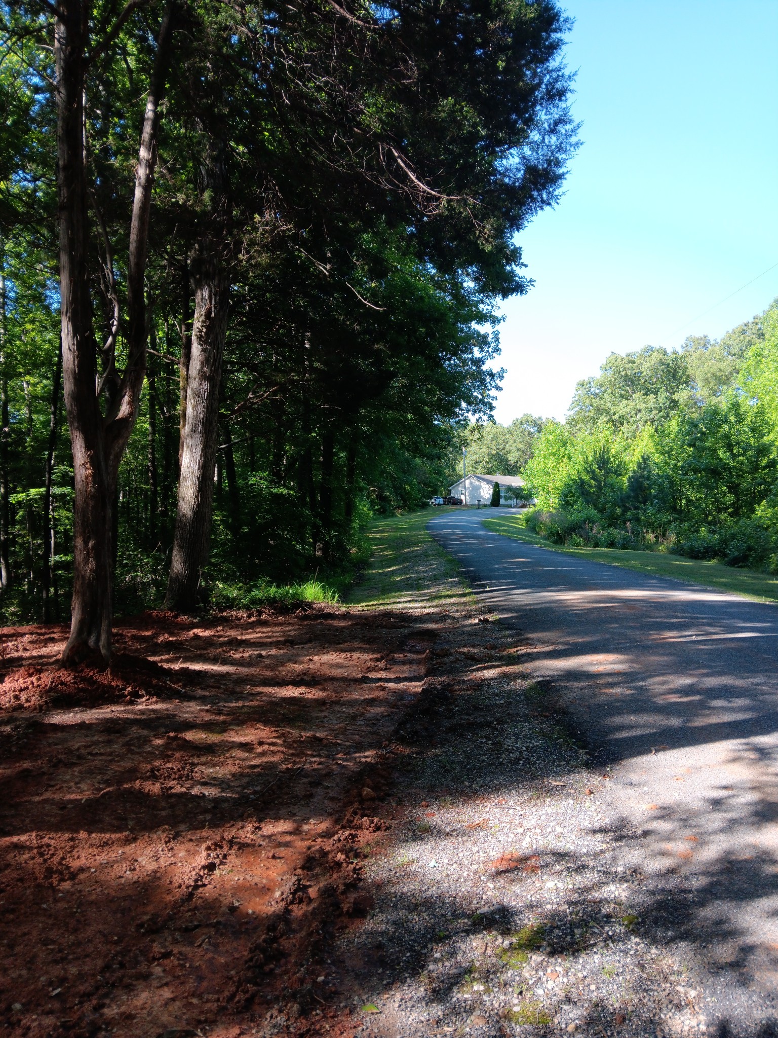 0 Logger Lane Cedar Grove, TN 38321 - Photo 2 of 3