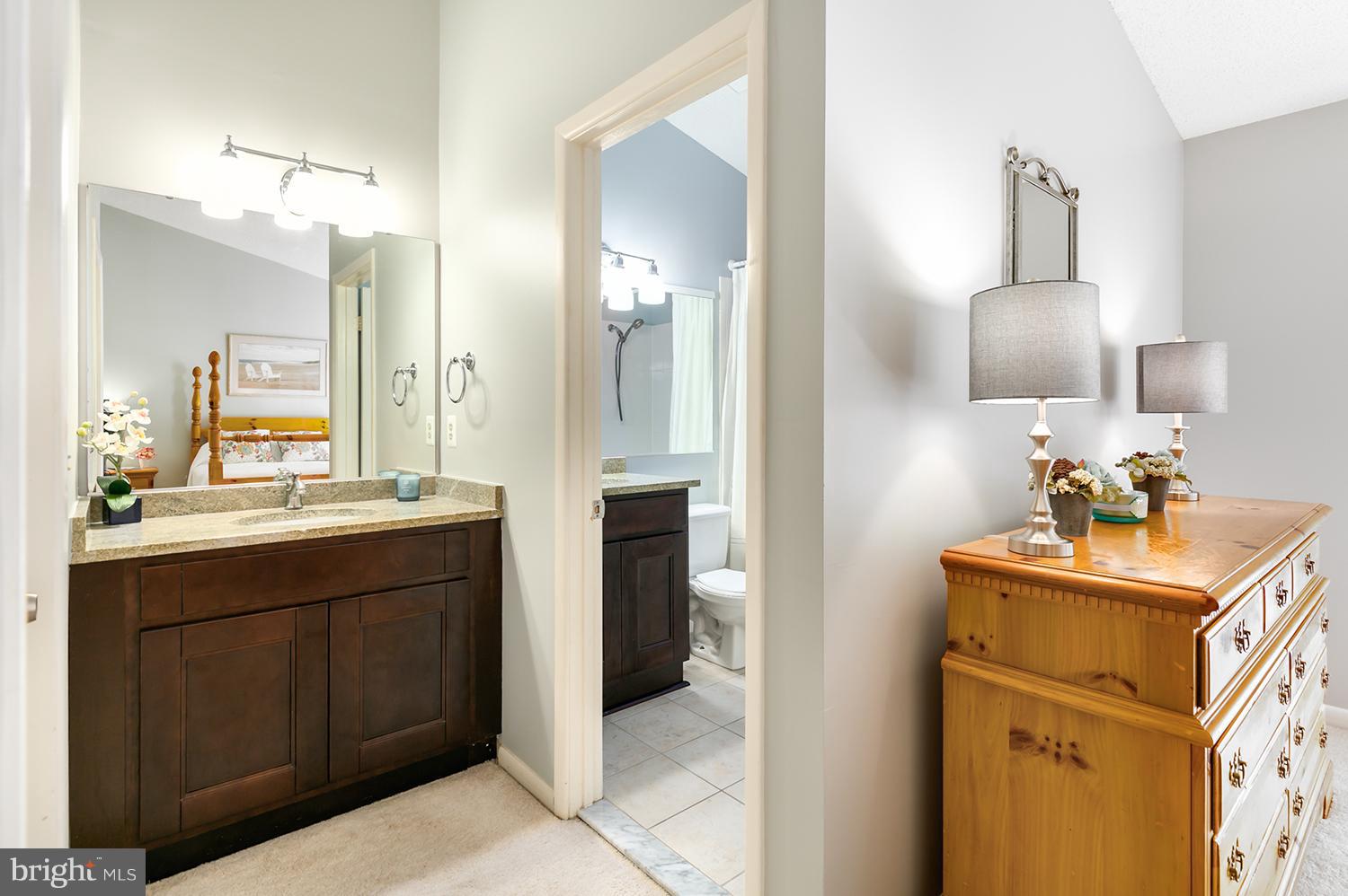 1413 Newport Spring Court Reston, VA 20194 - Photo 18 of 29 With extra vanity.