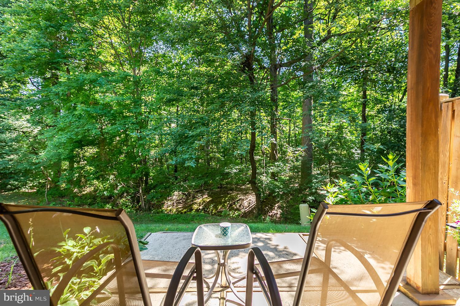 1413 Newport Spring Court Reston, VA 20194 - Photo 27 of 29 Great area to unwind after a long day.