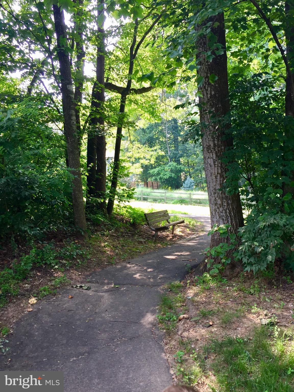 1413 Newport Spring Court Reston, VA 20194 - Photo 29 of 29 Backing to woods is such a treat. Trails and more.