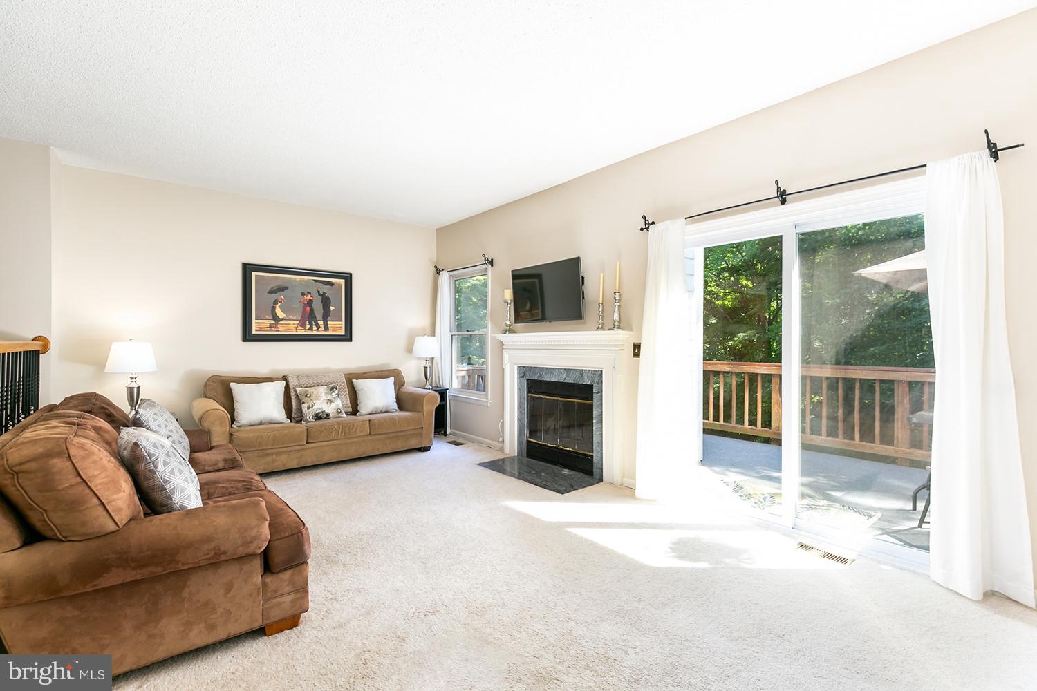 1413 Newport Spring Court Reston, VA 20194 - Photo 9 of 29 Fireplace, walk-out to deck and new sliding door.