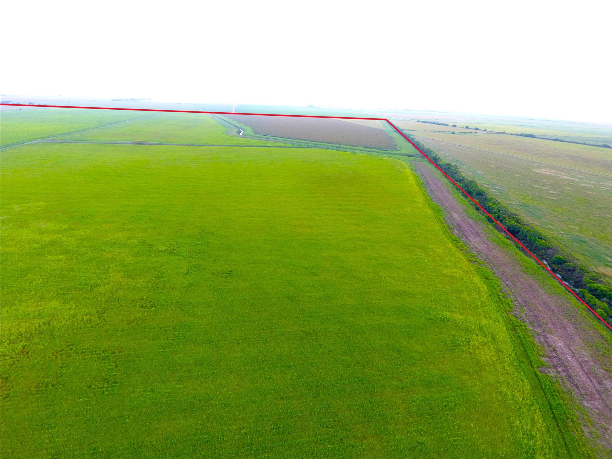 768 Million Dollar Road Palacios, TX 77465 - Photo 9 of 49