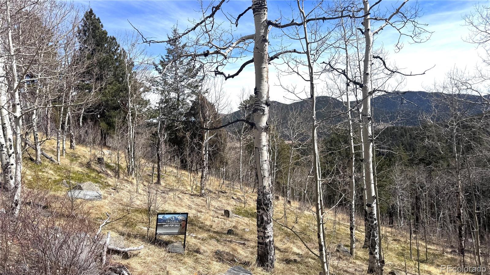 1 Seldom Seen Road Black Hawk, CO 80422 - Photo 13 of 48