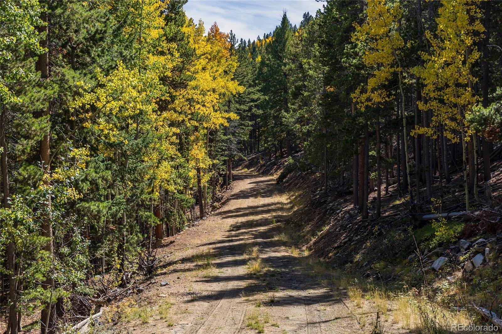 1 Seldom Seen Road Black Hawk, CO 80422 - Photo 18 of 48