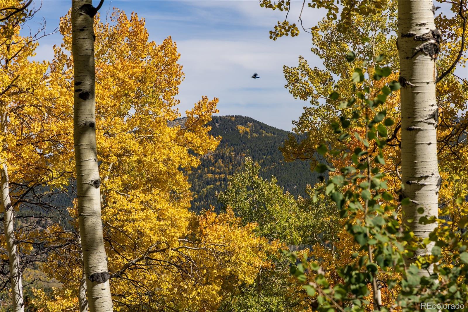 1 Seldom Seen Road Black Hawk, CO 80422 - Photo 19 of 48
