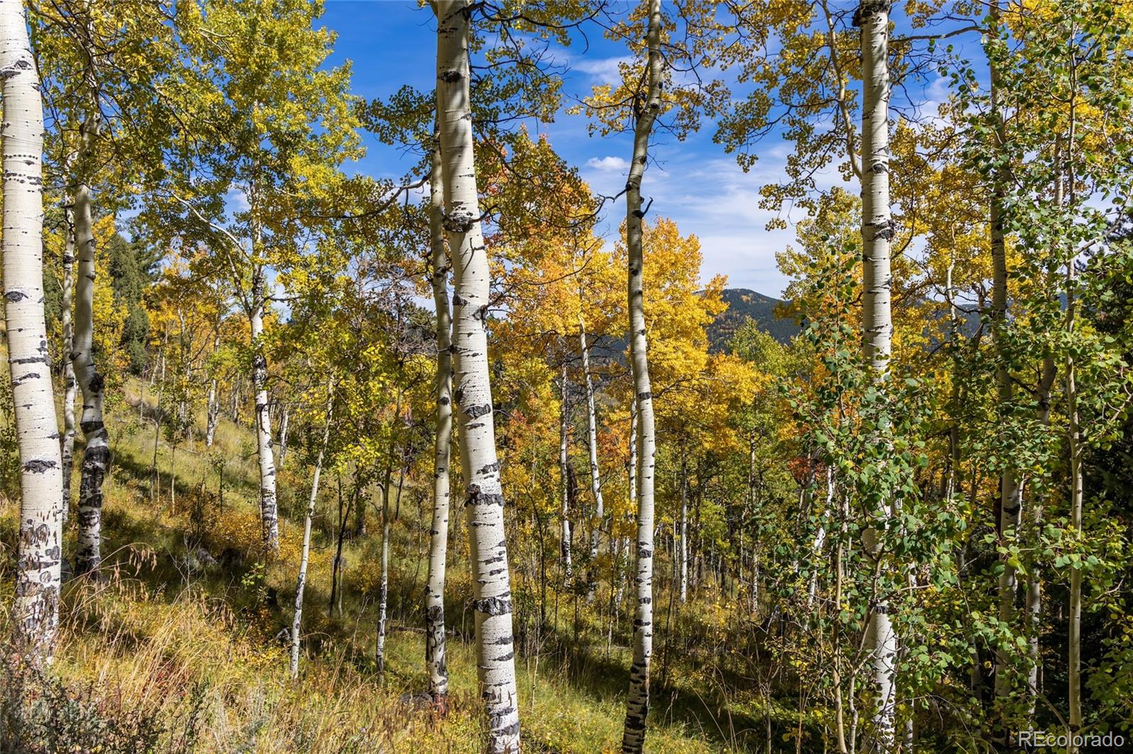 1 Seldom Seen Road Black Hawk, CO 80422 - Photo 23 of 48