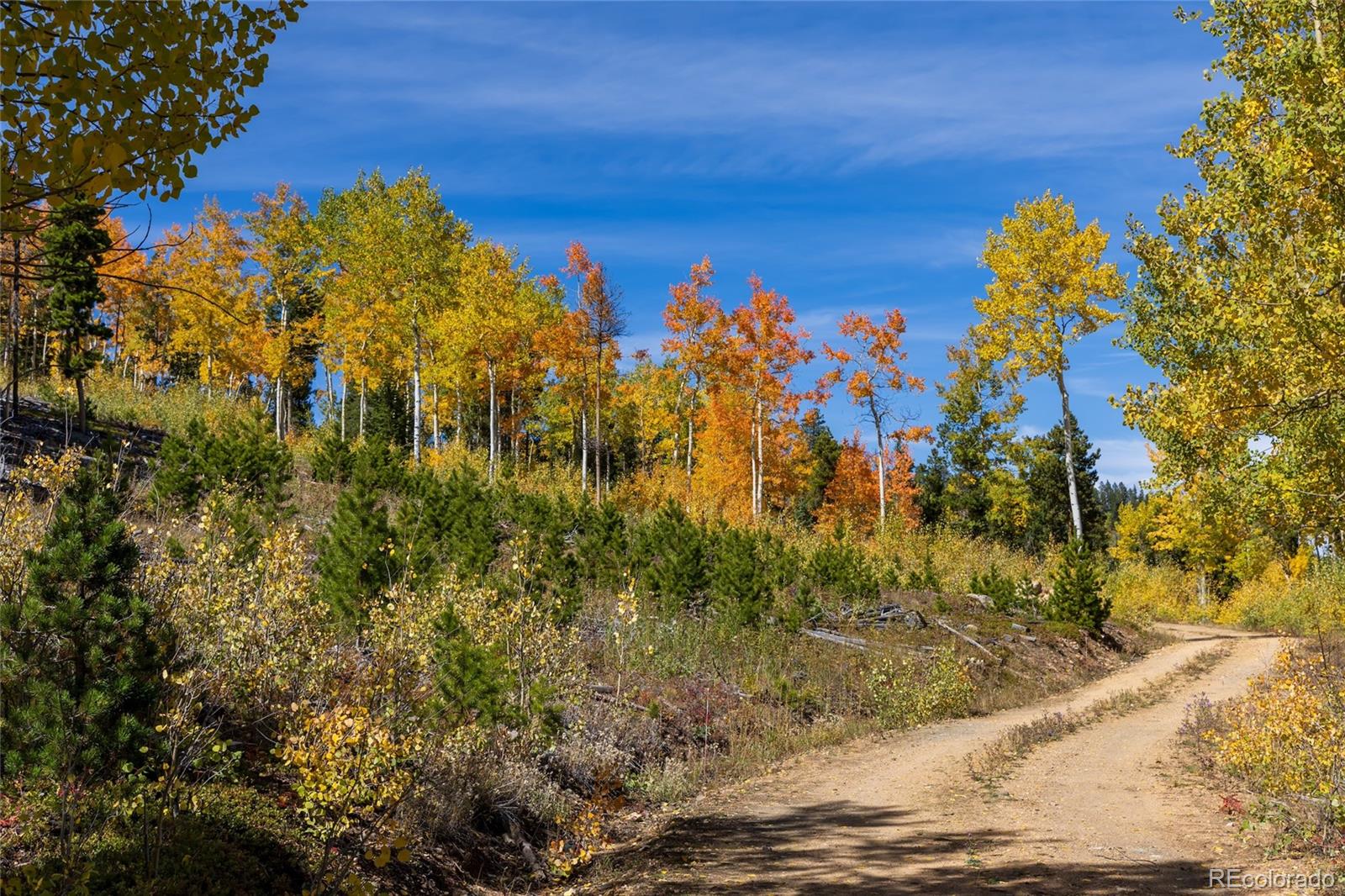 1 Seldom Seen Road Black Hawk, CO 80422 - Photo 27 of 48