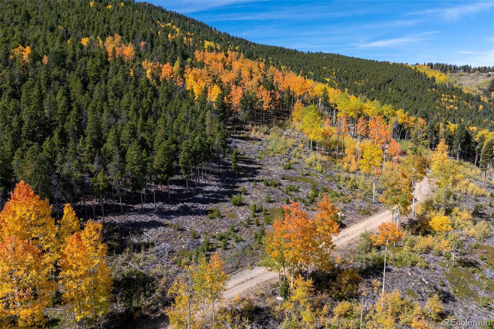 1 Seldom Seen Road Black Hawk, CO 80422 - Photo 30 of 48