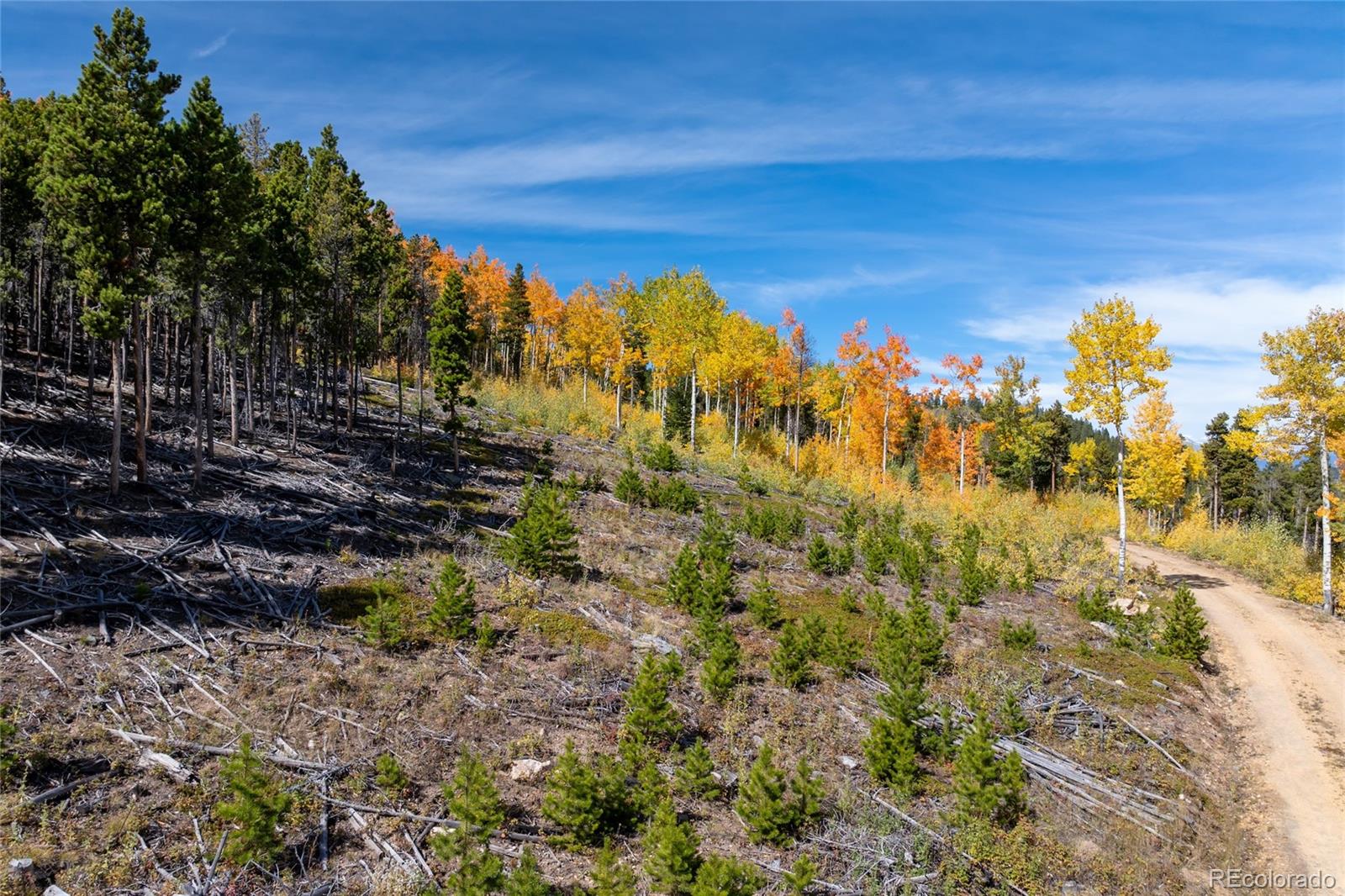 1 Seldom Seen Road Black Hawk, CO 80422 - Photo 32 of 48