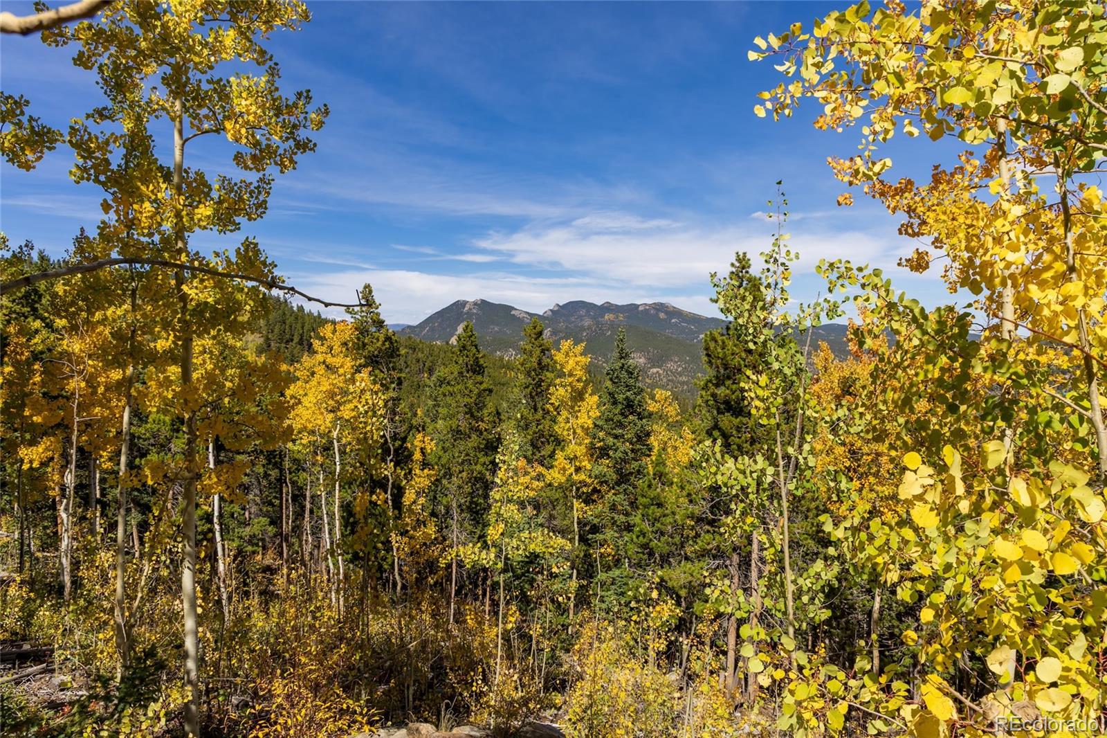 1 Seldom Seen Road Black Hawk, CO 80422 - Photo 37 of 48