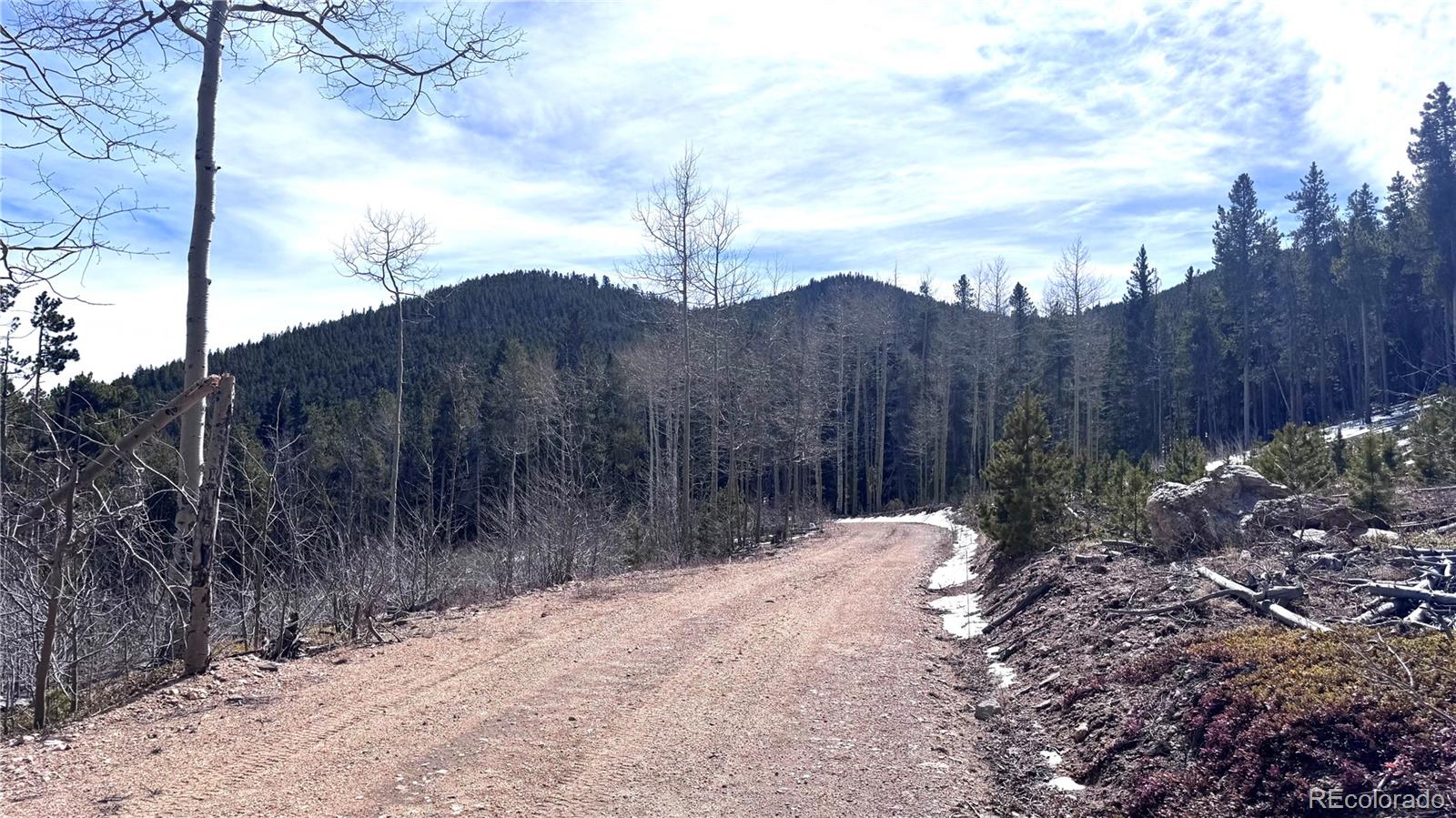 1 Seldom Seen Road Black Hawk, CO 80422 - Photo 9 of 48