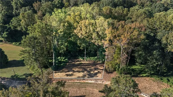 a view of a park with large trees