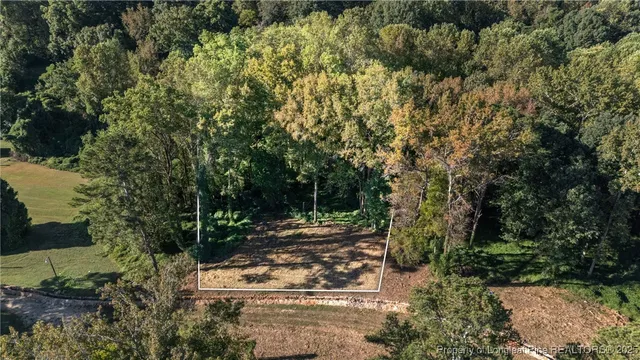 a view of a park with large trees