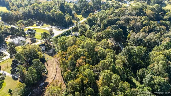 a view of a tree with lots of bushes