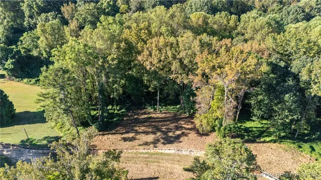 a view of a yard with plants and trees