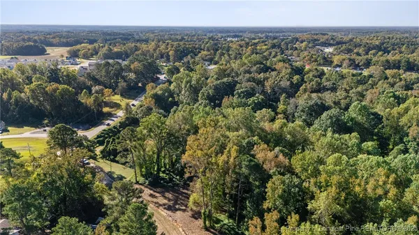 a view of dirt yard with a large trees