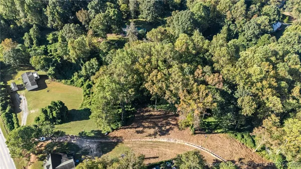 a view of a tree with a yard
