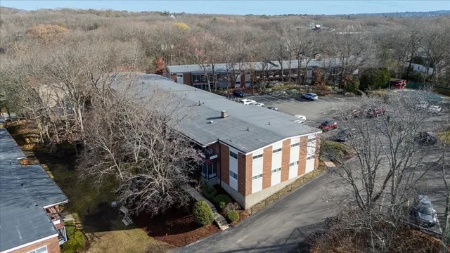 a view of a park with large trees
