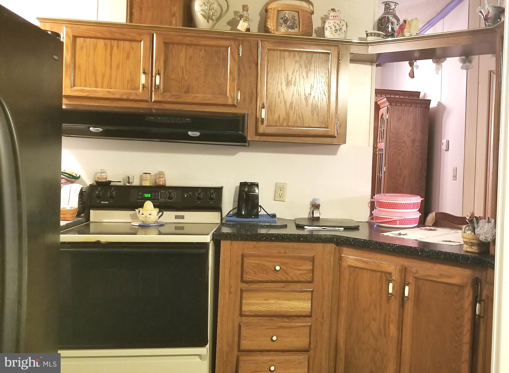 19533 Shaft Road Southwest Midlothian, MD 21532 - Photo 11 of 17 Kitchen