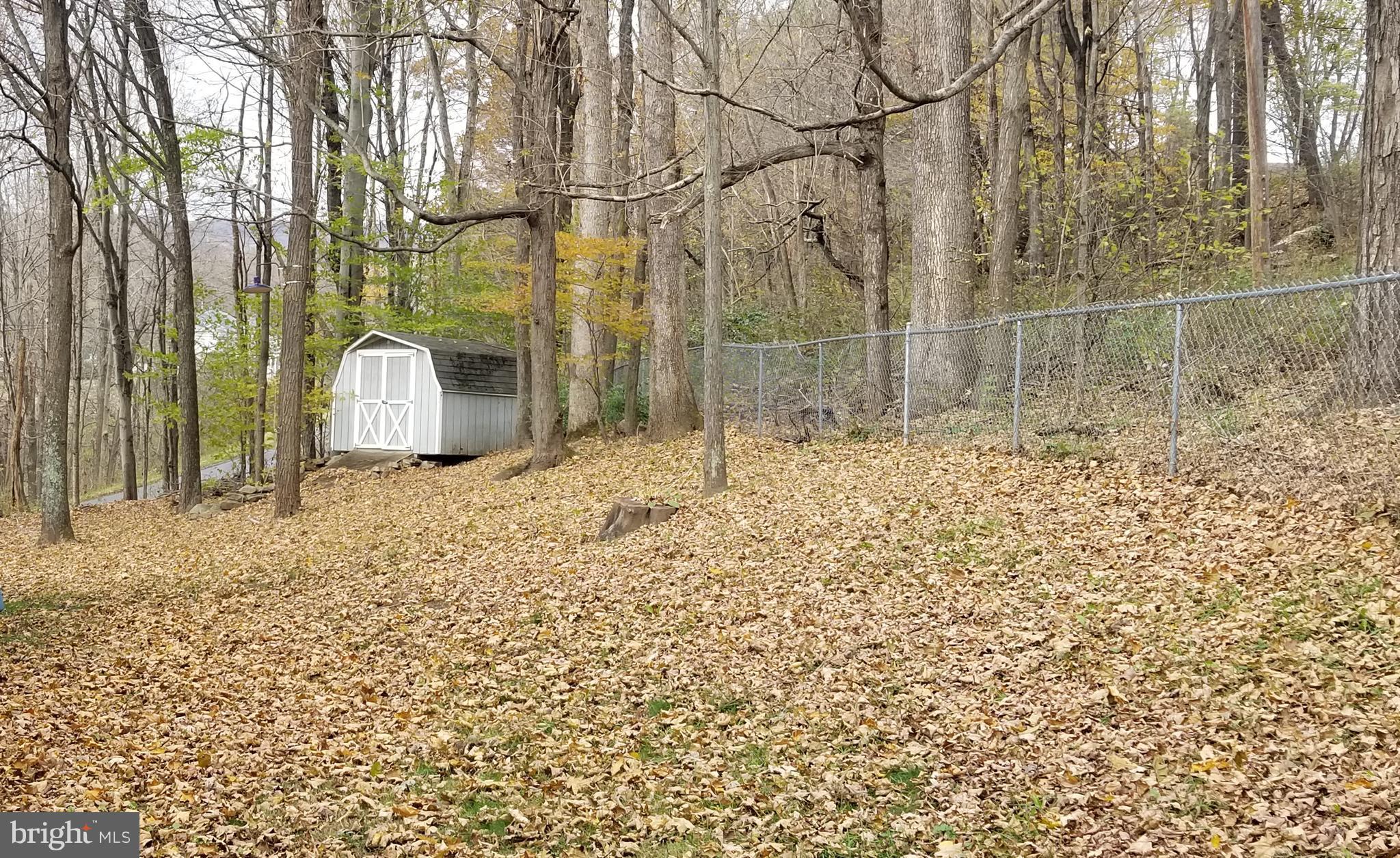 19533 Shaft Road Southwest Midlothian, MD 21532 - Photo 6 of 17 Backyard with shed