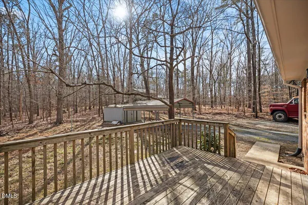 a view of a yard with plants and trees