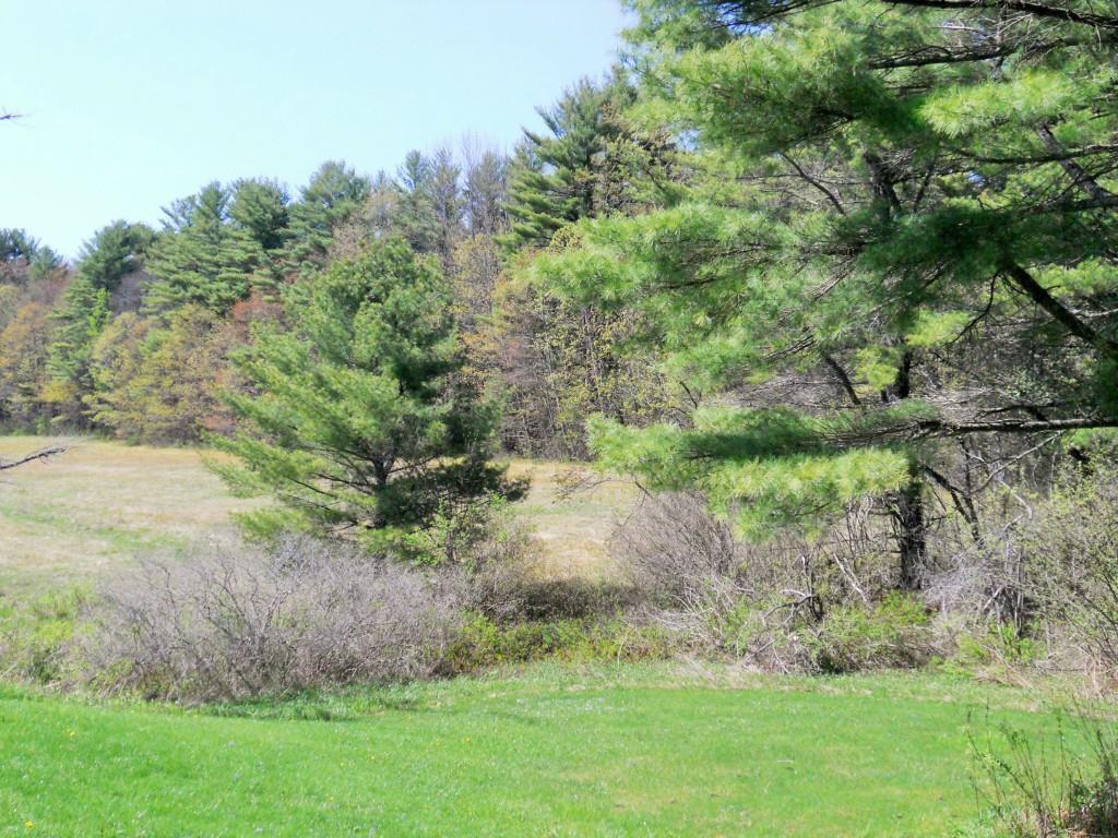 102 Lombard Road Arundel, ME 04046 - Photo 28 of 35 Large Yard