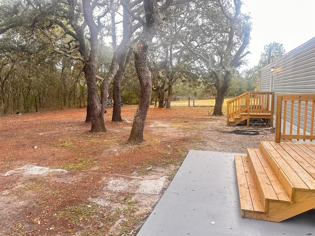 5641 South Butan Point Homosassa, FL 34446 - Photo 13 of 14 a view of a yard with trees