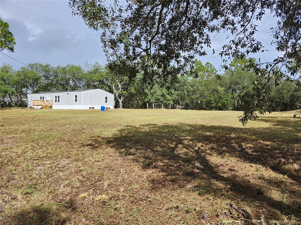 5641 South Butan Point Homosassa, FL 34446 - Photo 14 of 14 a view of yard with tree and trees