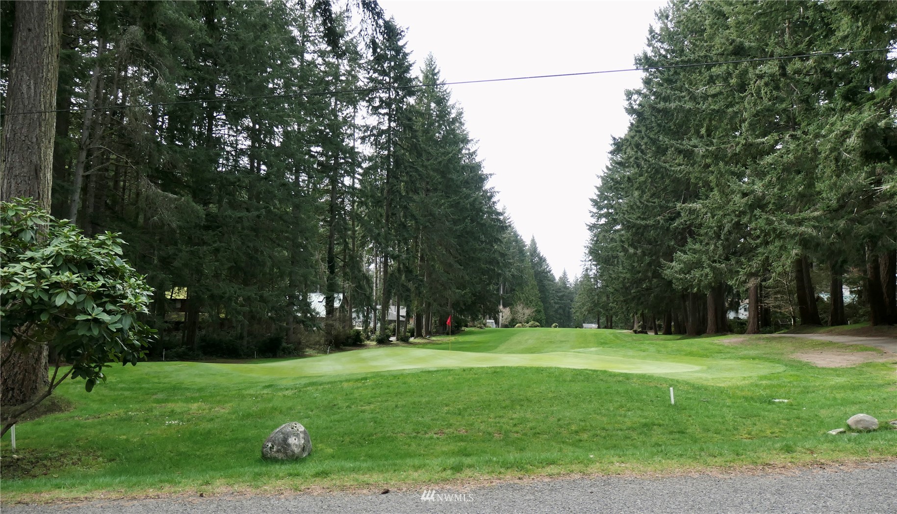 11411 Guthrie Road Anderson Island, WA 98303 - Photo 8 of 9 a view of a park with large trees