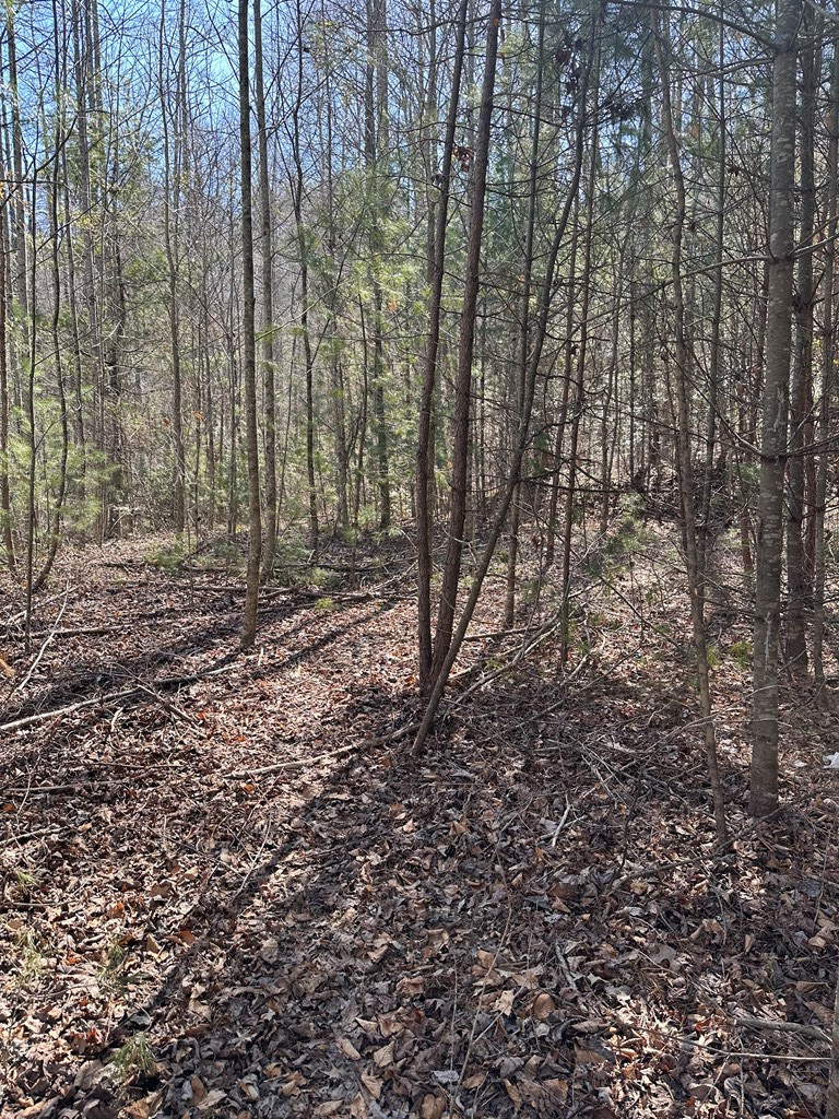 1.5-acre Trail Road Murphy, NC 28906 - Photo 7 of 17 Gallery Image 7