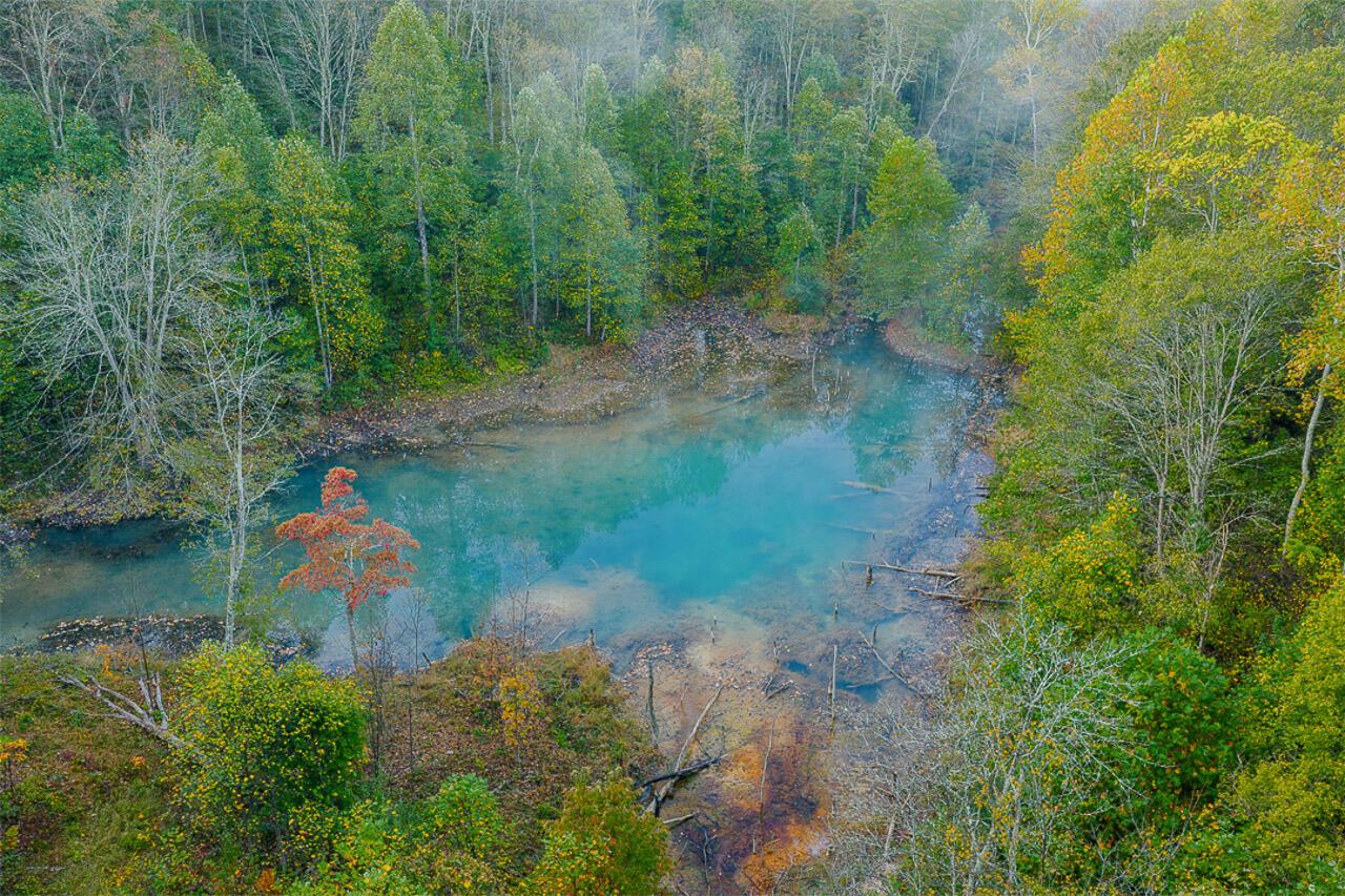 21995 Harrons Ridge Road Dexter City, OH 45727 - Photo 4 of 32 4
