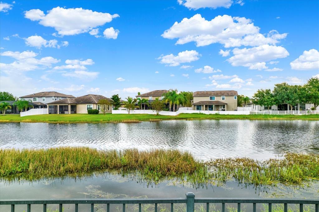 1851 Arbor Knoll Loop Trinity, FL 34655 - Photo 2 of 49