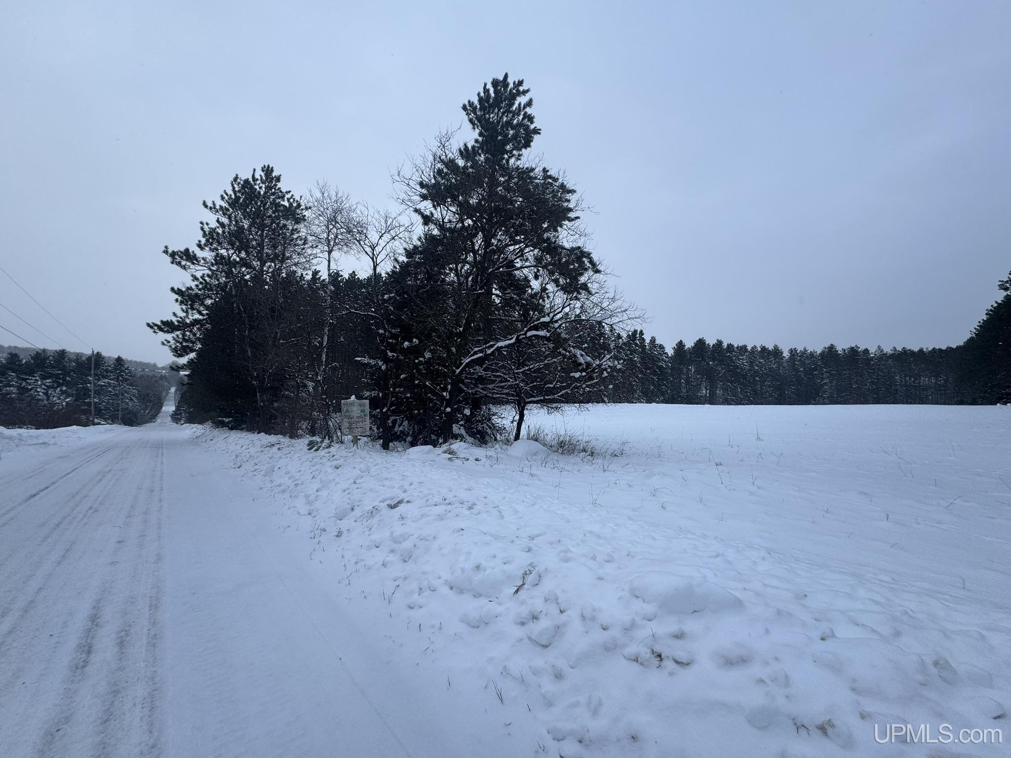 Tbd Treves Farm Road Norway, MI 49870 - Photo 2 of 4 Gallery Image 2