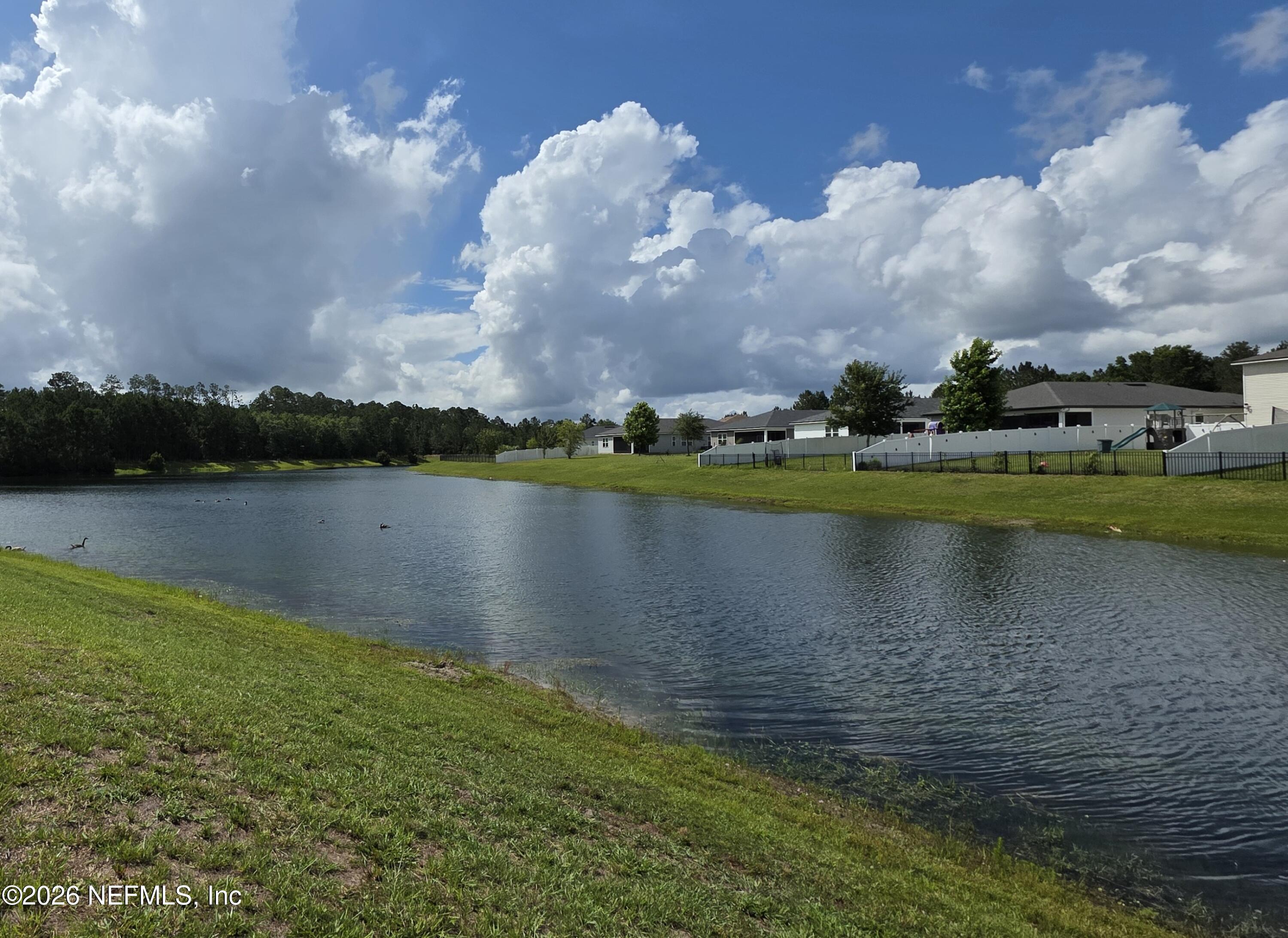 4537 Pine Ridge Parkway Middleburg, FL 32068 - Photo 29 of 30 Pond view