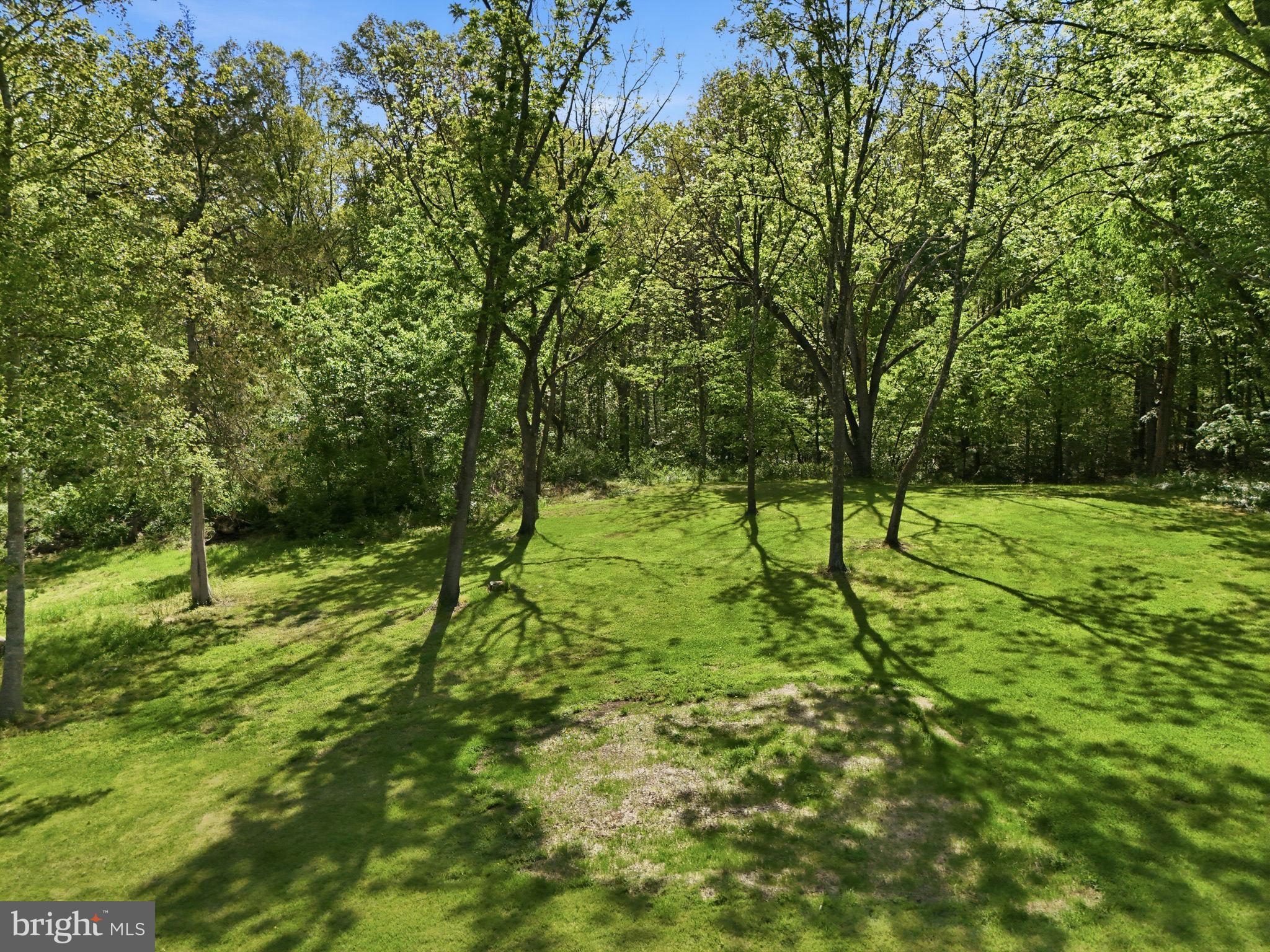 241 Cropp Road Fredericksburg, VA 22406 - Photo 58 of 62 Gallery Image 58