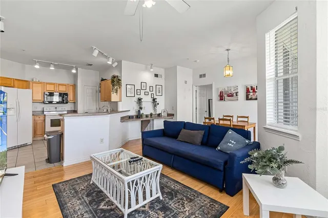 a living room with furniture and a potted plant