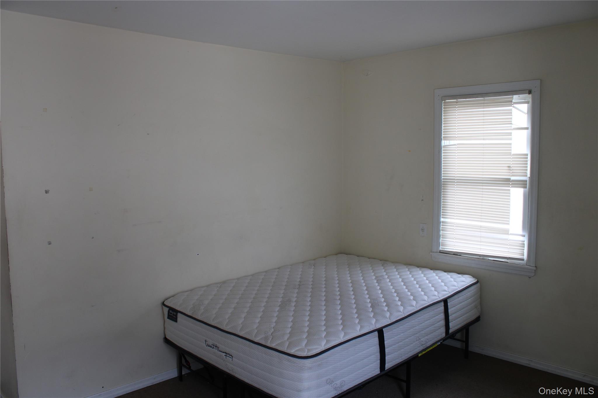 219-22 132nd Road Queens, NY 11413 - Photo 41 of 49